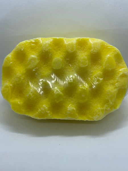 Cranberry Crush Soap Sponge